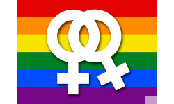 DRAPEAU gays lesbiens